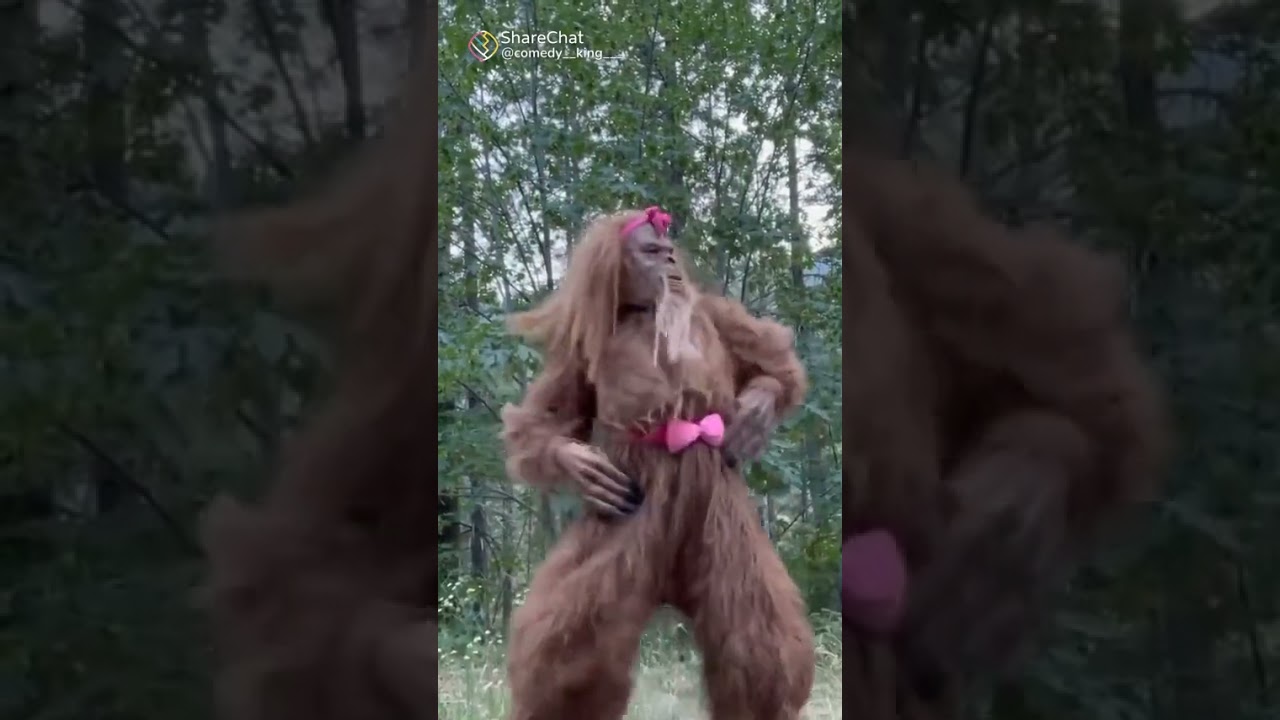 bandariya ka super dance 🤣🤣🤣😃😃😃😃