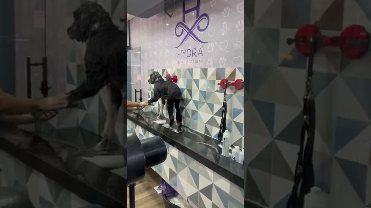 Banho da amiga