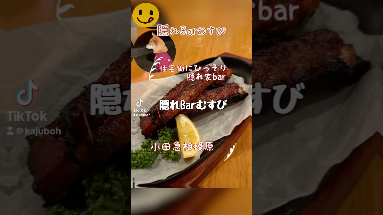 小田急相模原の住宅街に隠れ家見つけた！「隠れbarむすび」