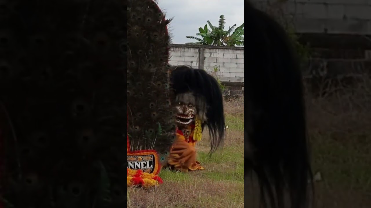 Barongan Blora Kediri Reog Ponorogo #shorts