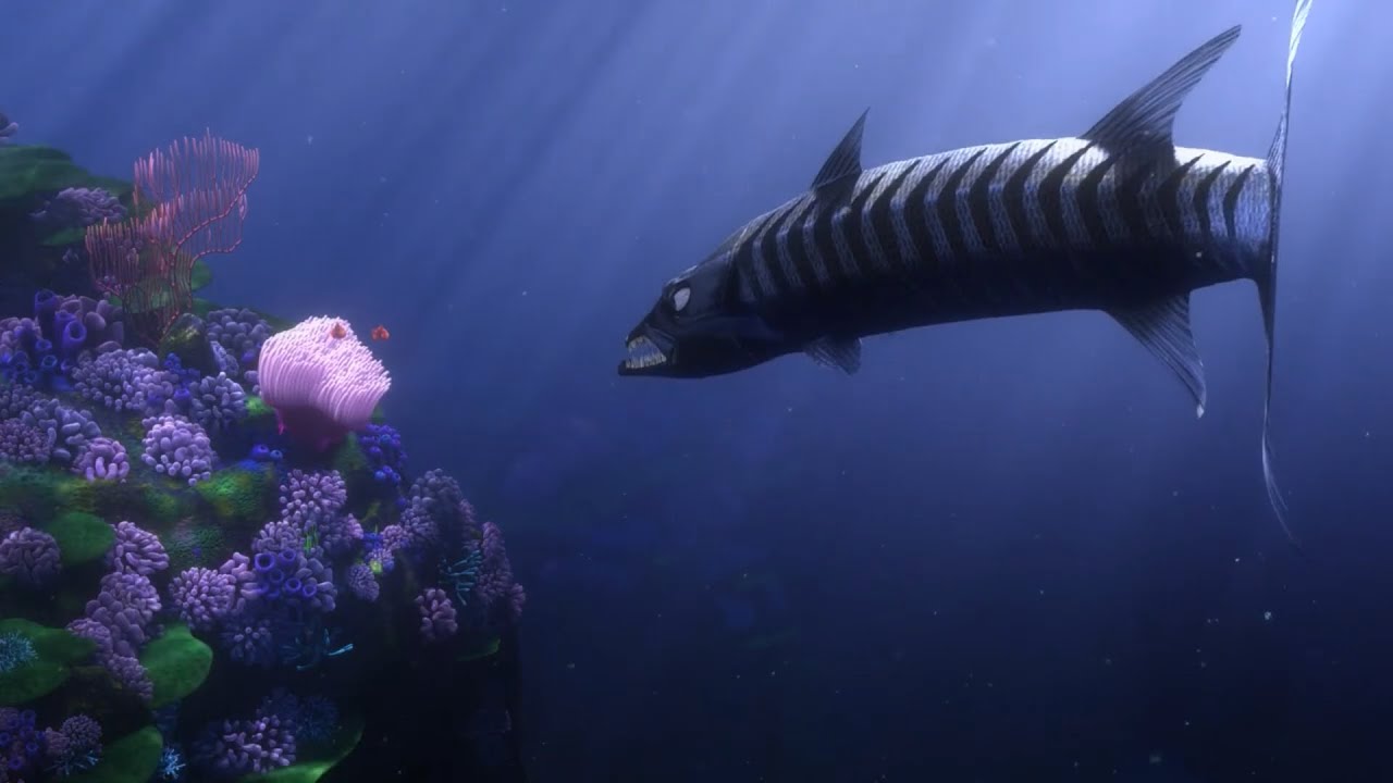 Barracuda Kills Coral (Original)