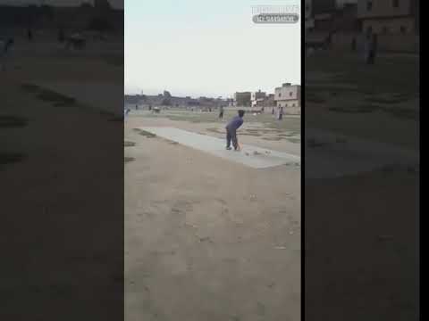 Bathing #bigolivevideo