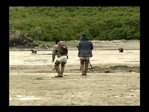 Be the Creature - Brown Bears