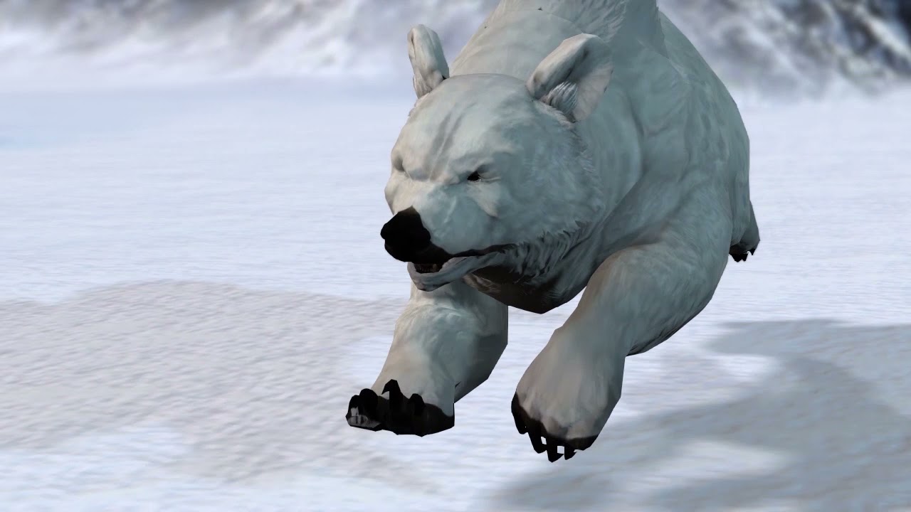 Bear roar - Bear sound