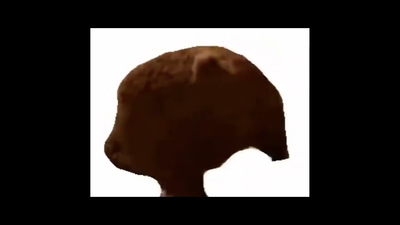 Bear twerk