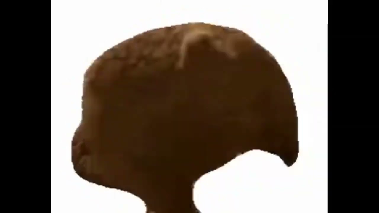 Bear twerks to dubstep