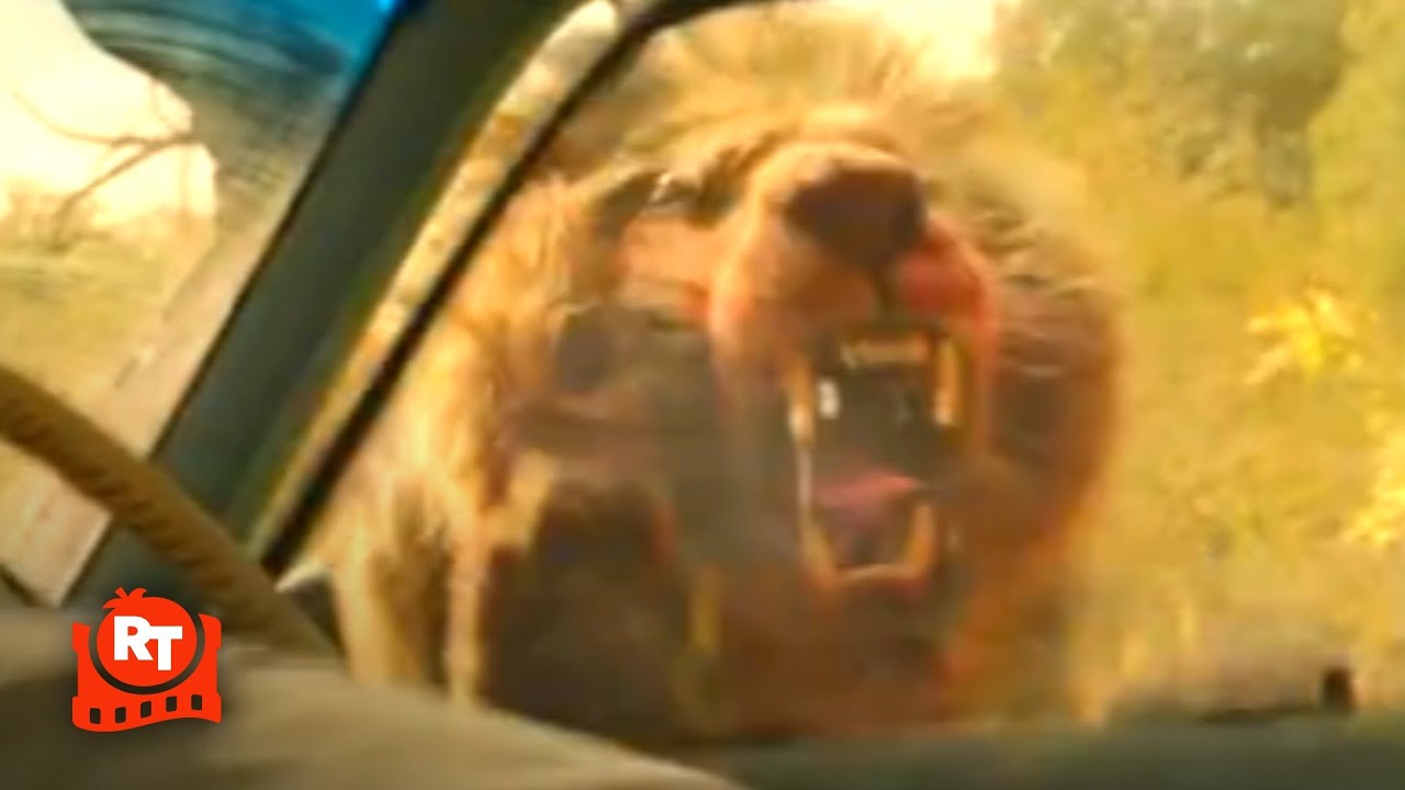 Beast (2022) - Lion Attack Scene | Movieclips