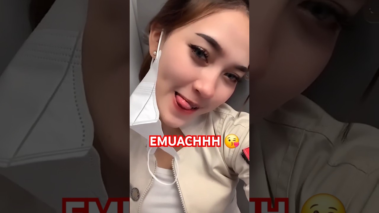 Beautiful flight attendant on duty