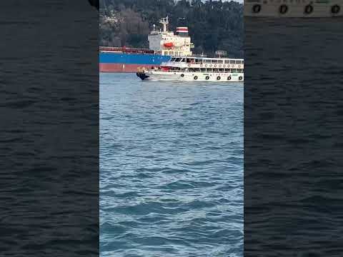 Bebek sahili