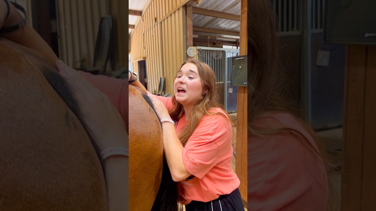 Beginner Vs Experienced Horse Owners! 🐴 #shorts #animals