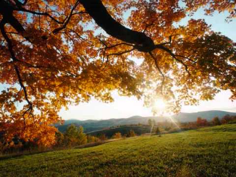 Behiwetae  lai Vol 2.wmv