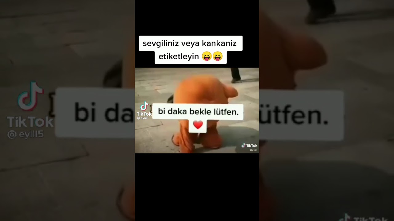 Ben askimin delisiyim