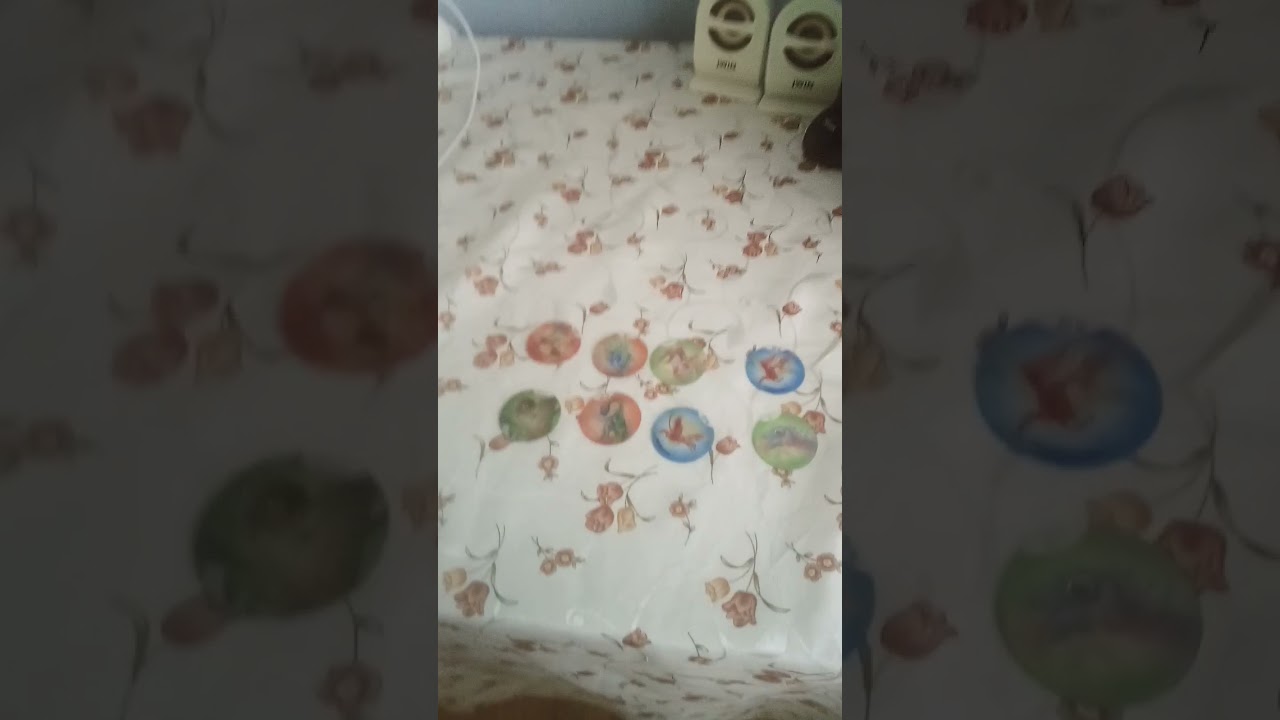 benim ozmo taso koleksiyonum