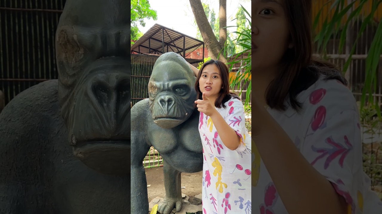 Berburu Hewan di Kebun 🦍