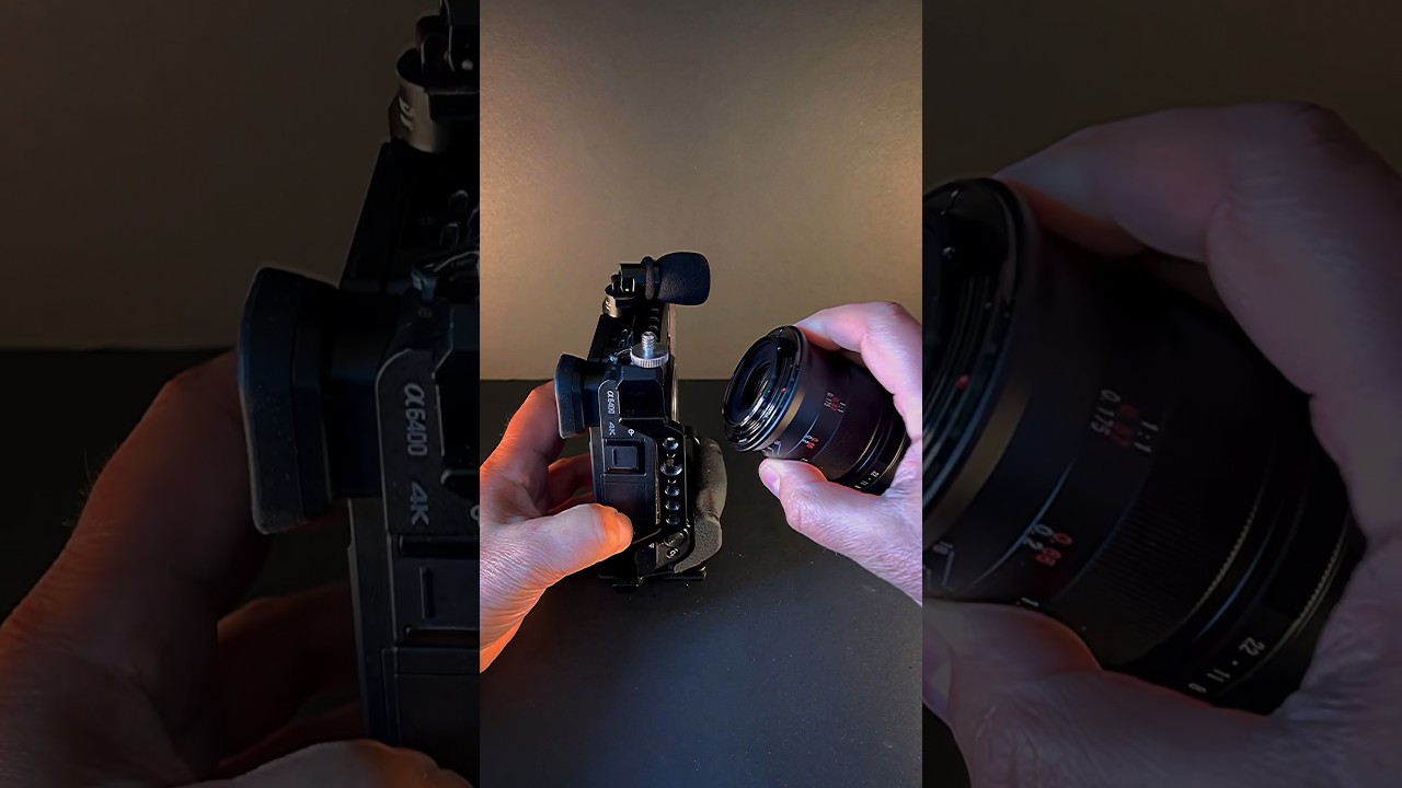 Best CHEAP Macro Lens #sony#shorts#viral#macro#photography#bees#insects#honeybee#sonyalpha#foryou#