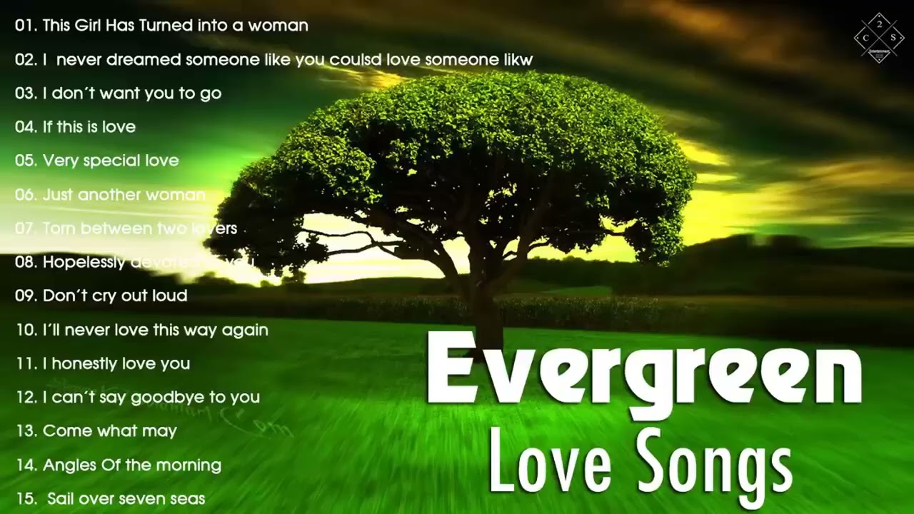 Best Evergreen Love Songs Memories - Nonstop Cruisin Romantic Love Song Collection HD
