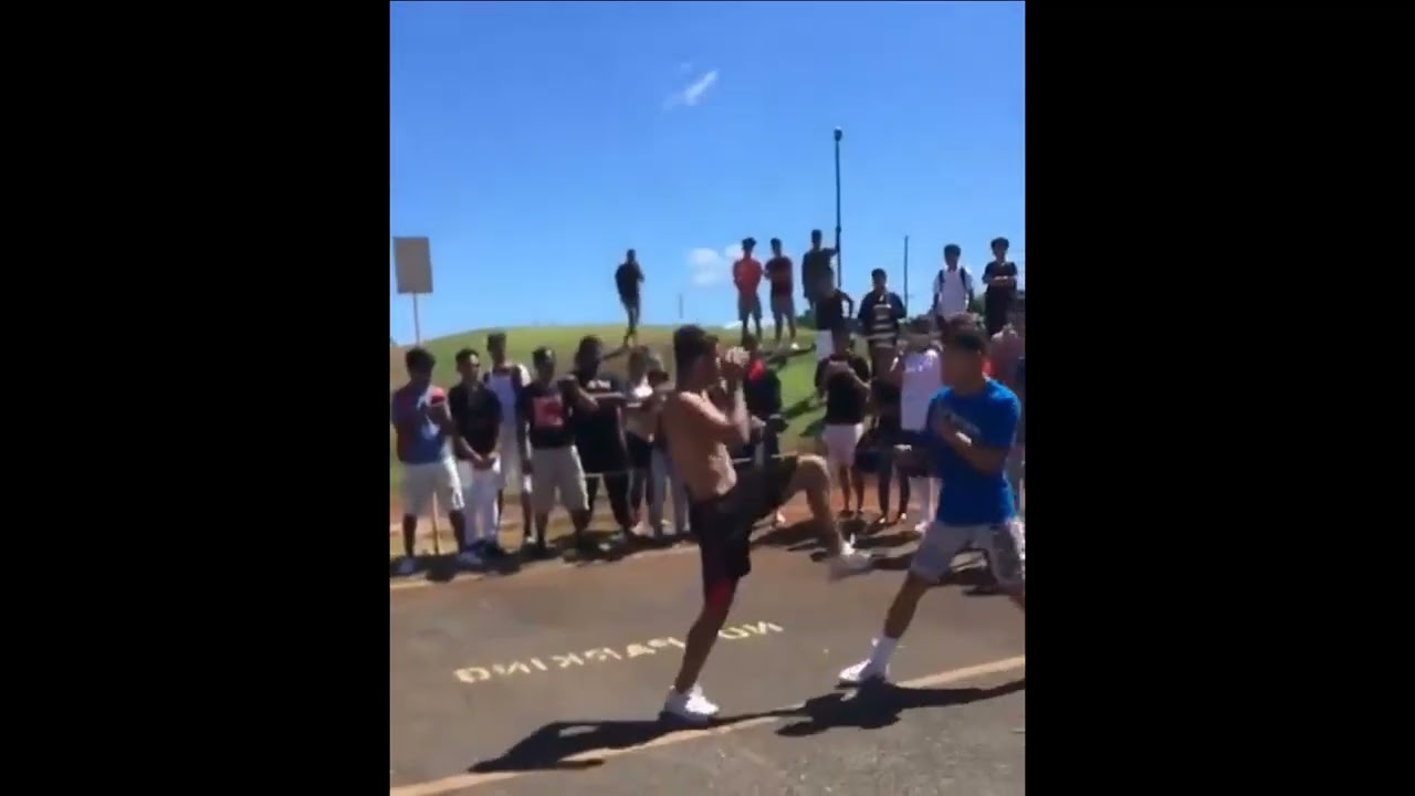 BEST FIGHT COMPILATION 2024