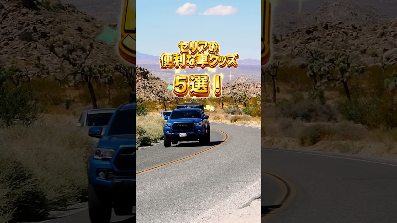 【セリアで発見！】便利すぎる車グッズBEST5