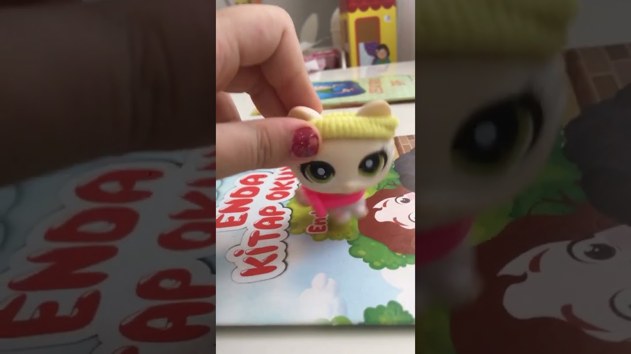 Beyaz pamuk şeker Cats