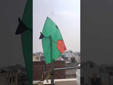 Bhaiya meri Patang Tut kar aapki chhat per thak gai #kitelover #kitefestival #kiteflying #ytshorts