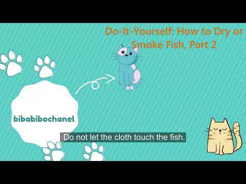 Bibabibo Chanel| Learning English Everyday| Do-It-Yourself: How to Dry or Smoke Fish, Part 2