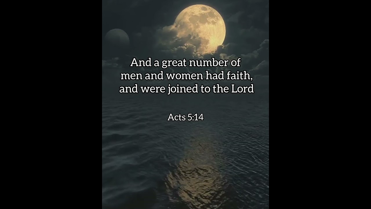 Bible verses | daily Bible verses | #bible #prayer #church #scripture #trending #shorts #viral