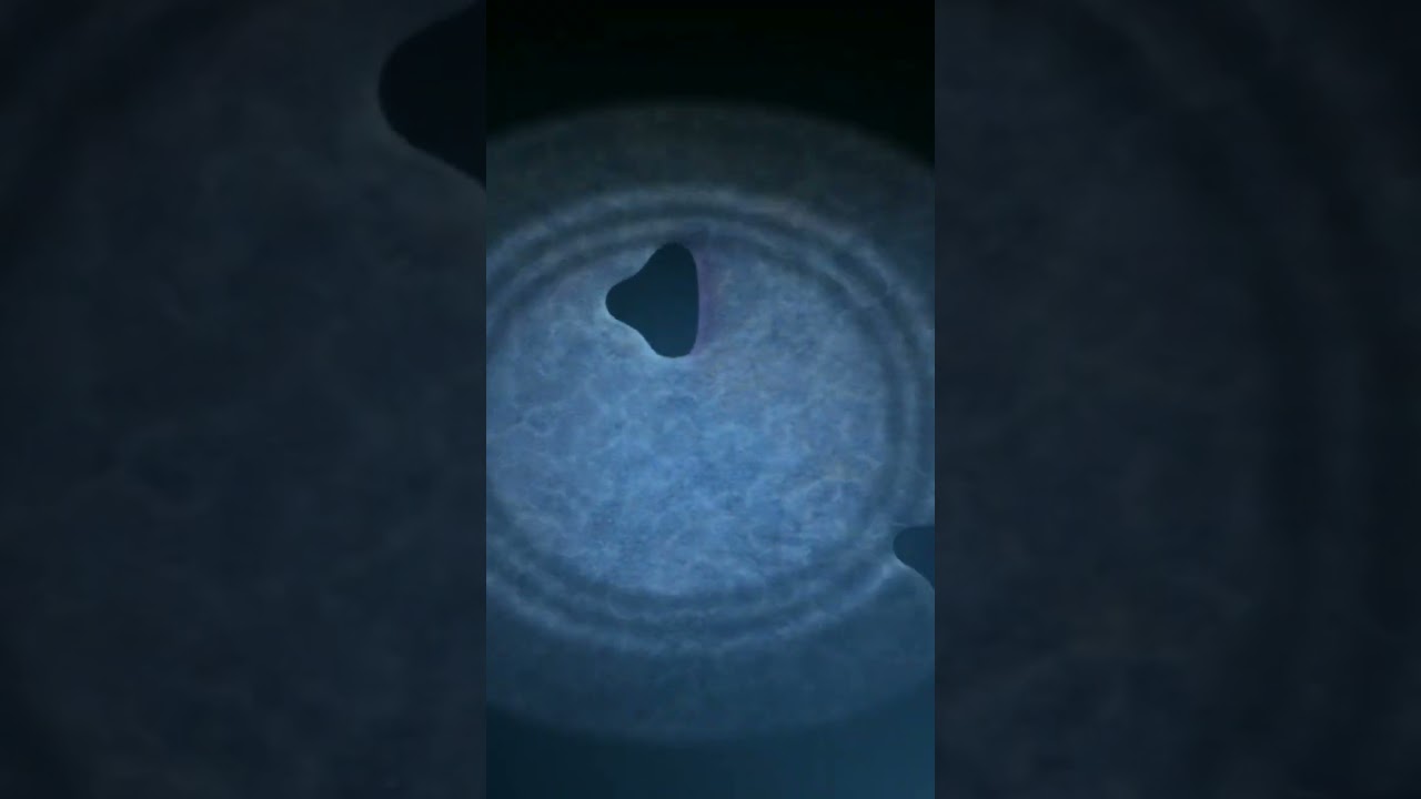 Bidybab jumpscare || FNAF SL || #fnaf #sisterlocation