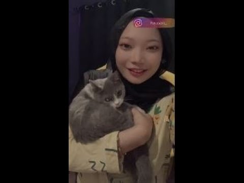 Bigo hijab styles terbaru ukhty