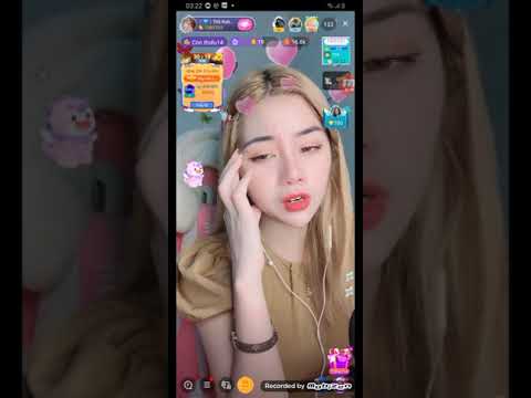 Bigo live Thỏ Baby cover Không phải Em đúng không