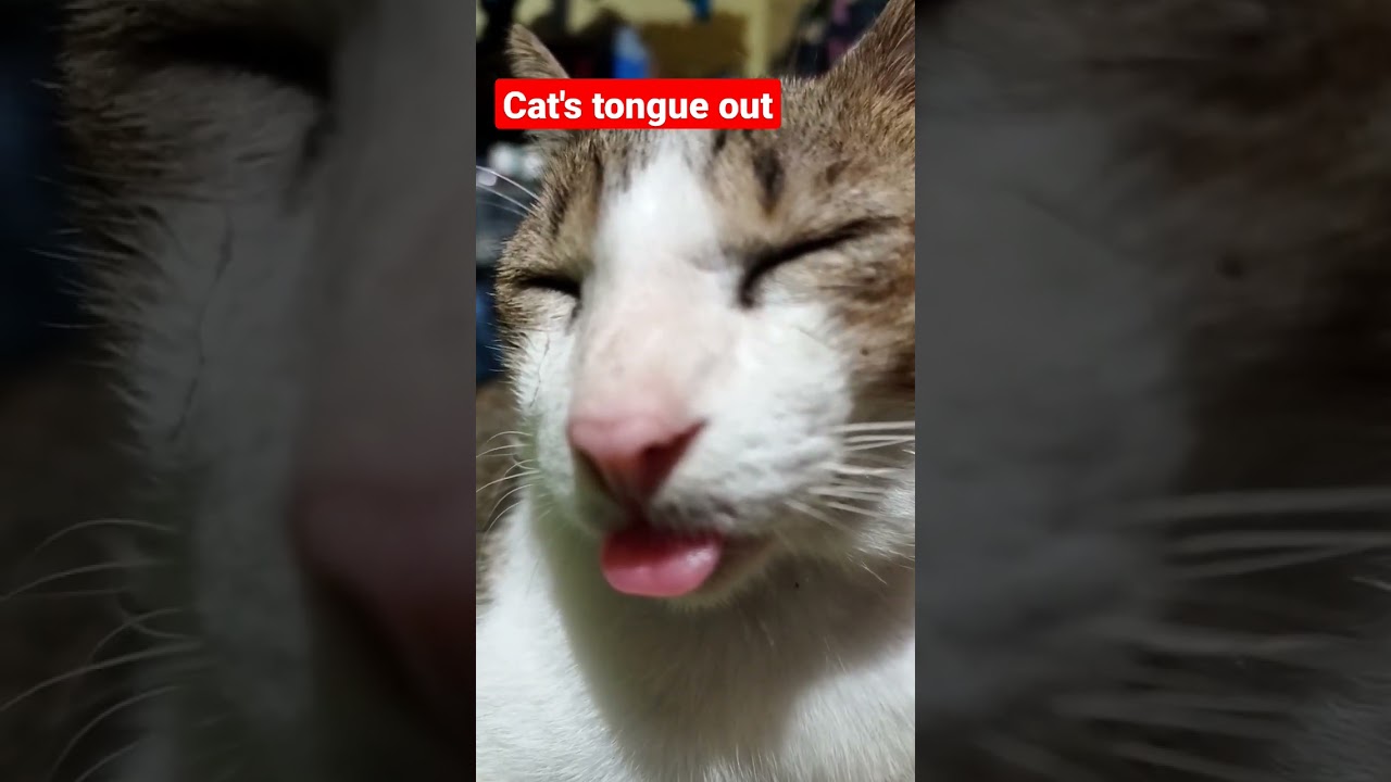 Bigo si Miming / Sino nga ba sya