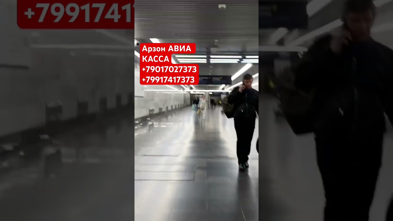 #bilet #travel #avtobusmoskvatashkent #narxlari #automobile #olish #airport #aviasales #news