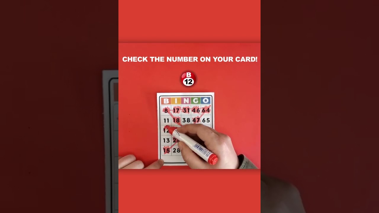 Bingo - Offline Board Game