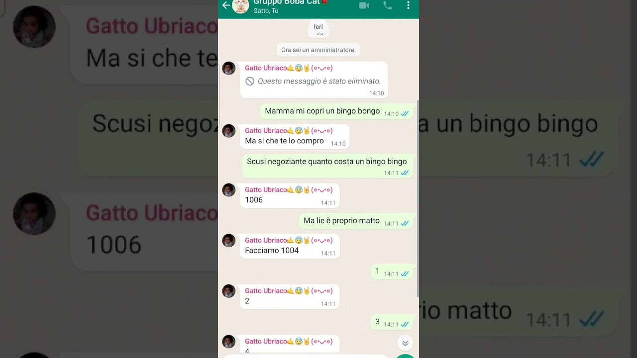 Bingo Bongo Yuko~