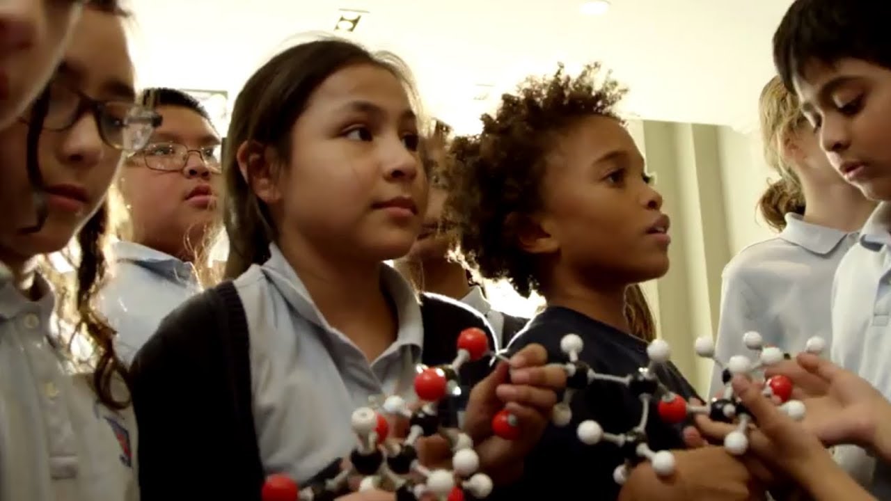 Biochemistry Literacy for Kids: Full Documentary 2019