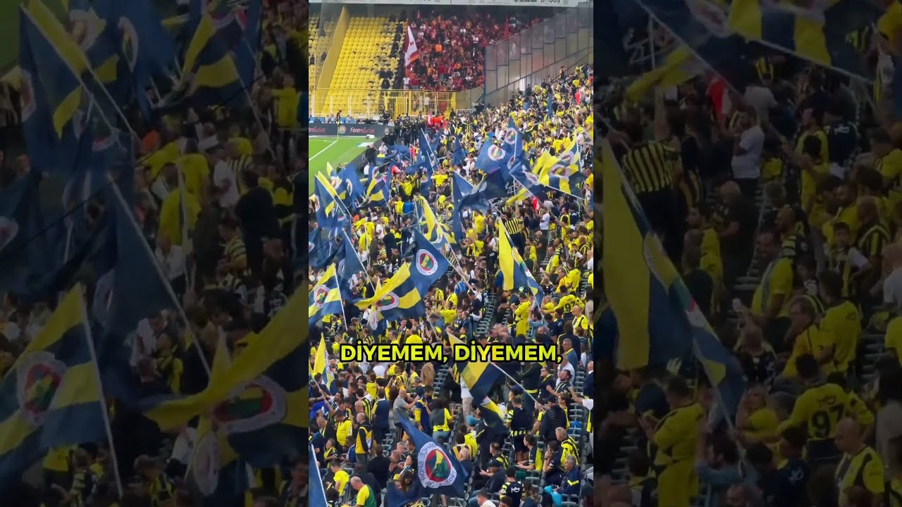 Bir başka sevgiliyi 💙💛#shorts