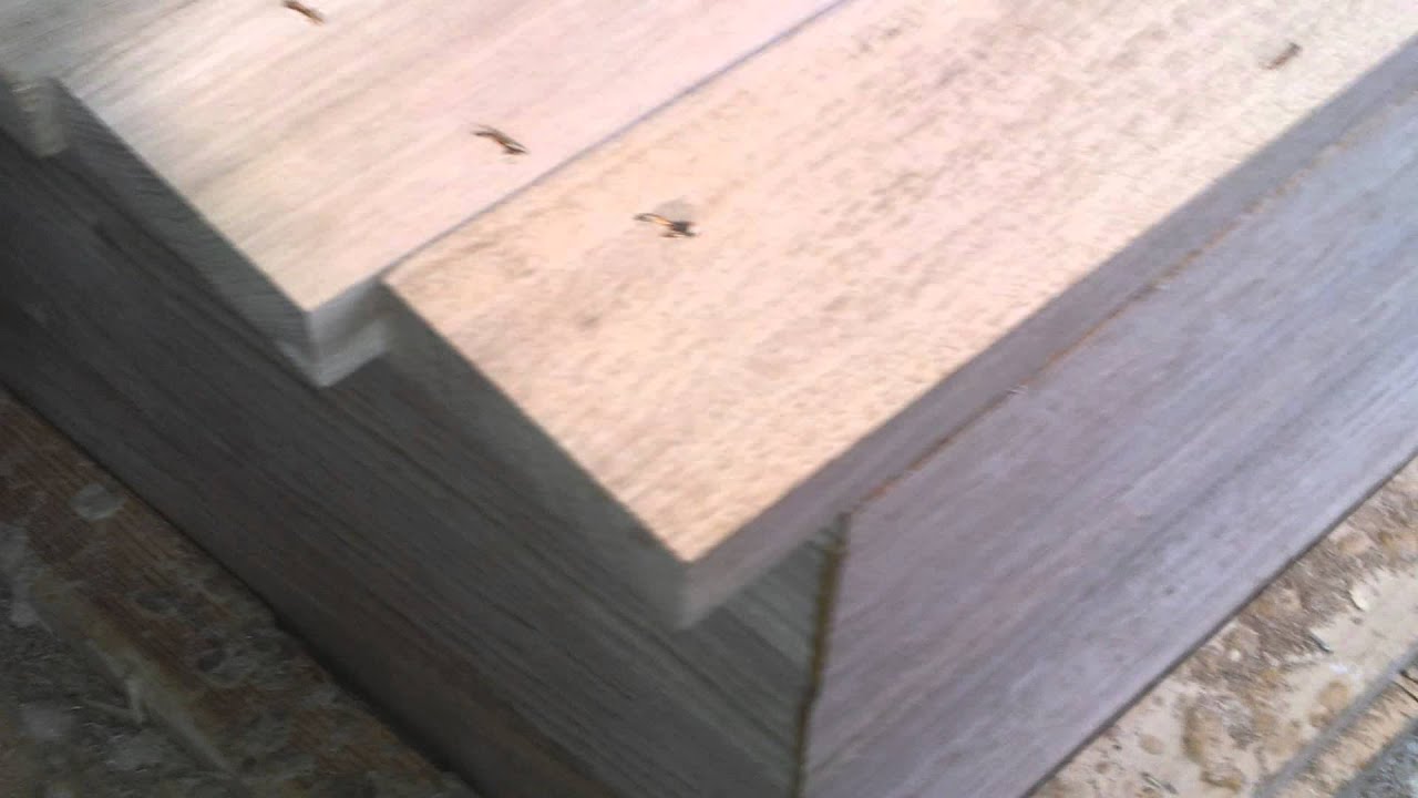 Bizea 14-50
