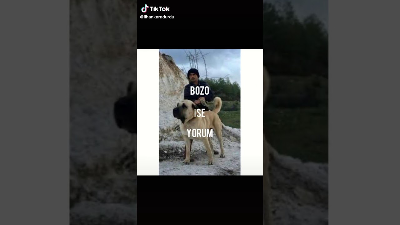 Bizim it