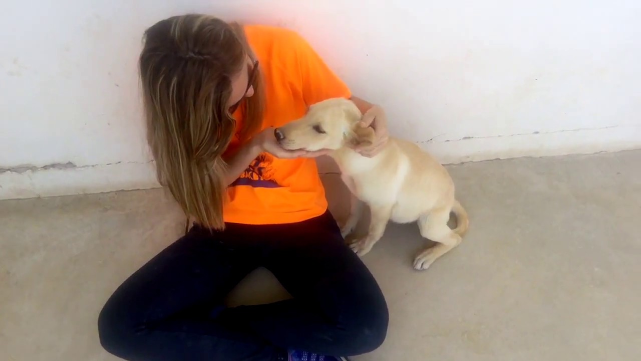 Blas video 1