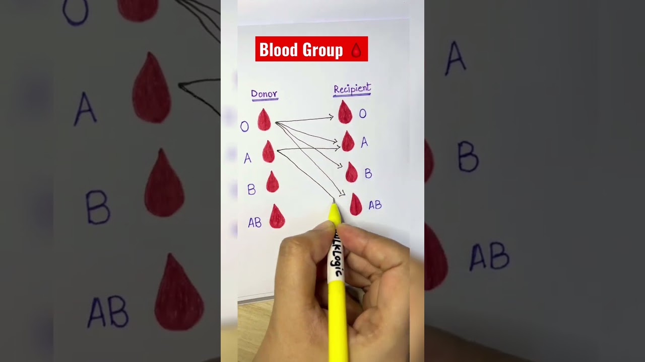 Blood Group 🩸