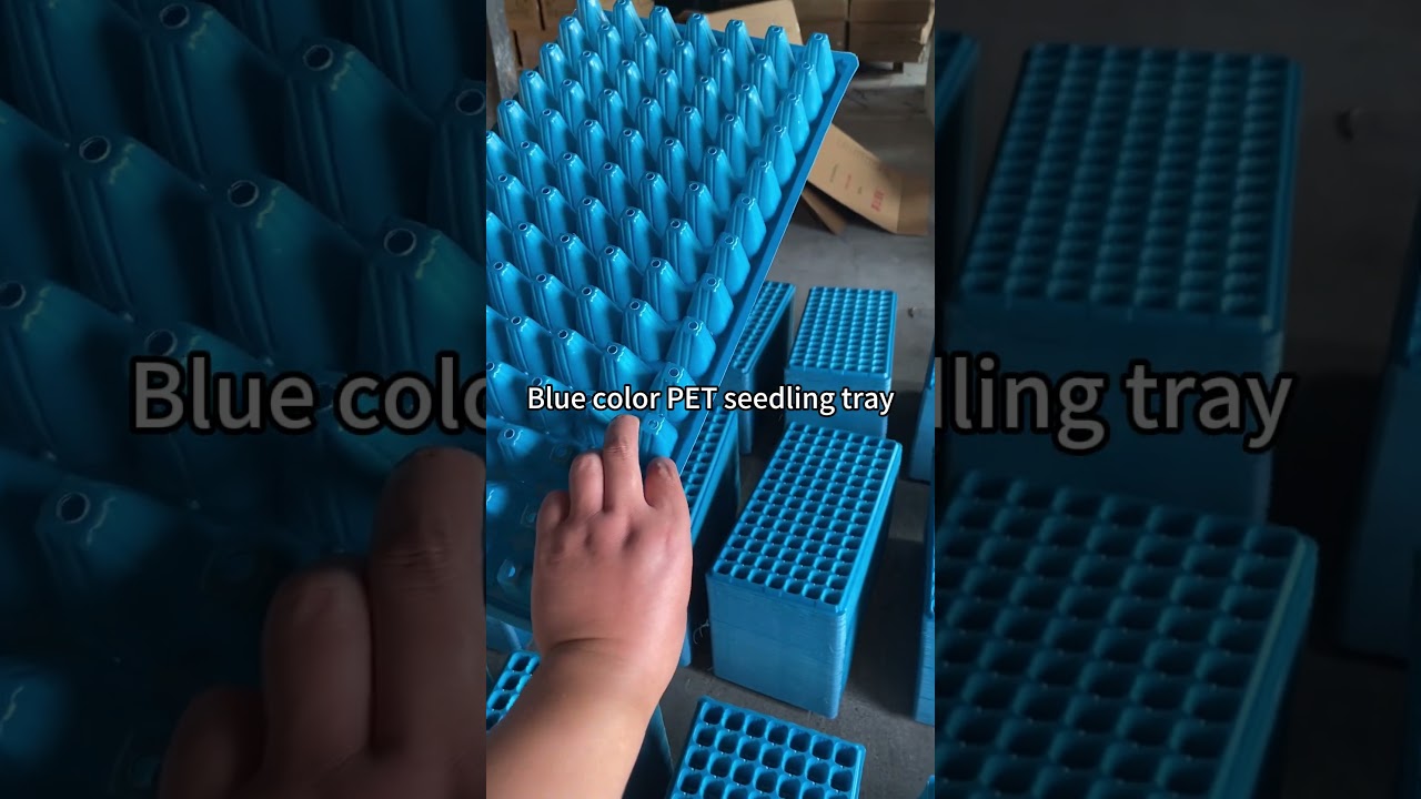 Blue color seedling tray