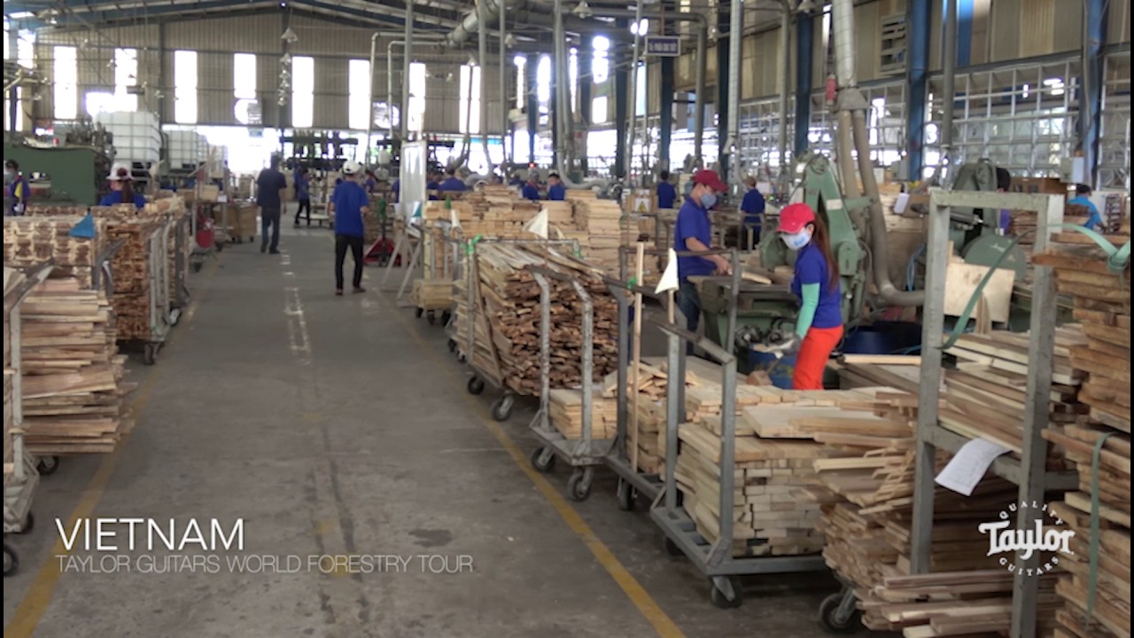 Bob Taylor's World Forestry Tour | Vietnam | May 4, 2017