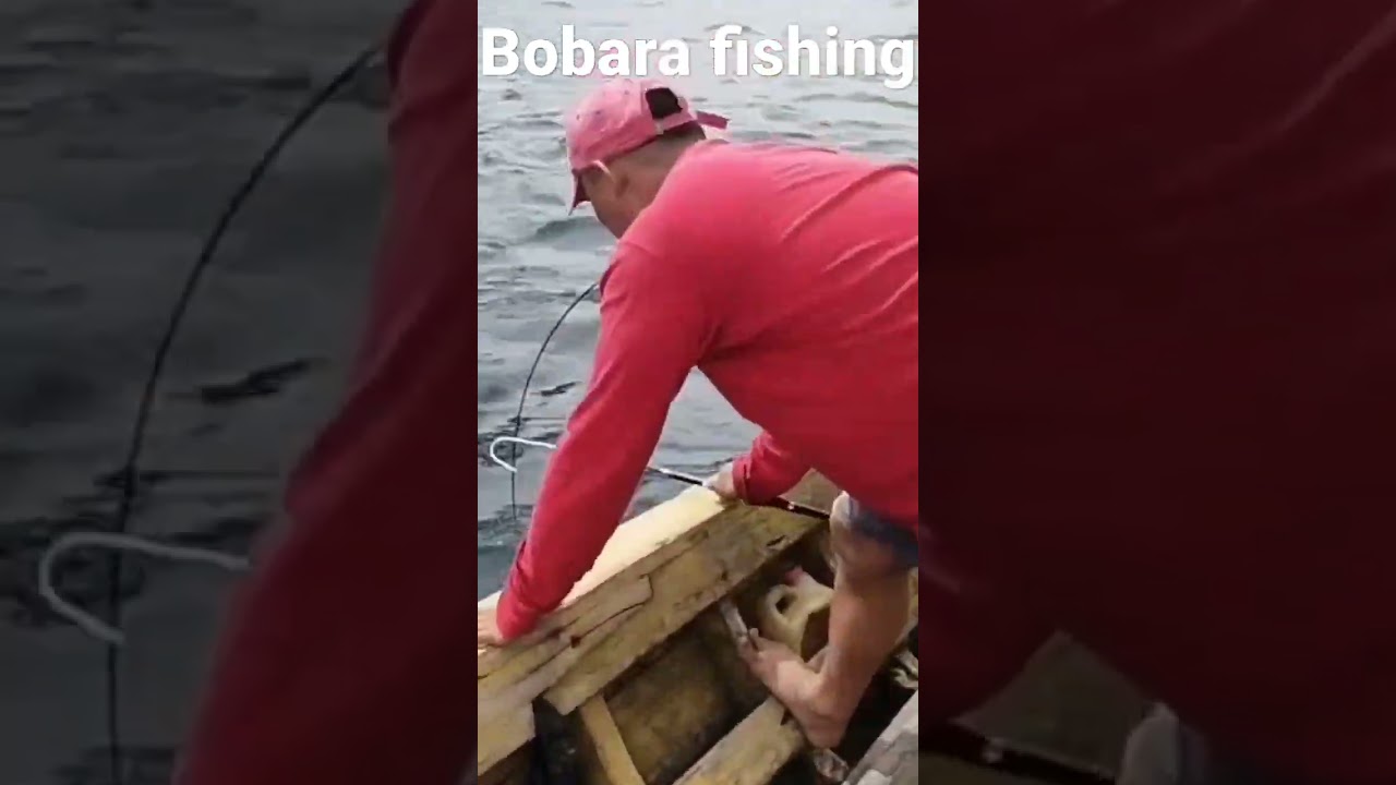 #bobara fishing#ultralightjigging#shorts