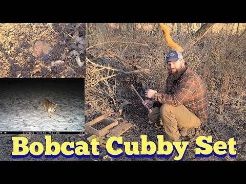 Bobcat Set AKA Cubby Set | KOAM Outdoors Trapping