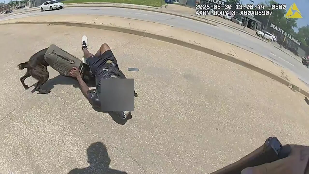Bodycam footage released as debate over officer arrest grows