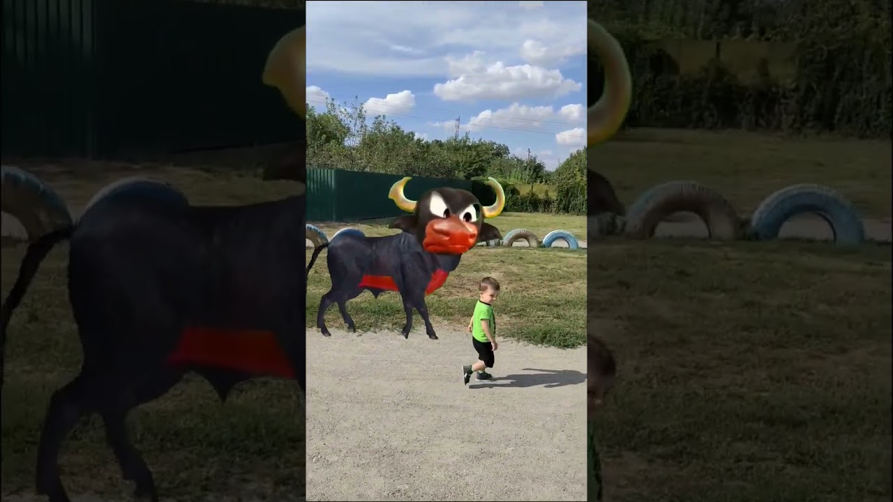 Boi da cara preta 🌳🐮