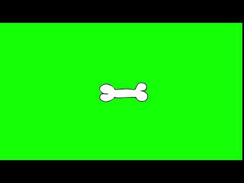 Bone Green Screen draw