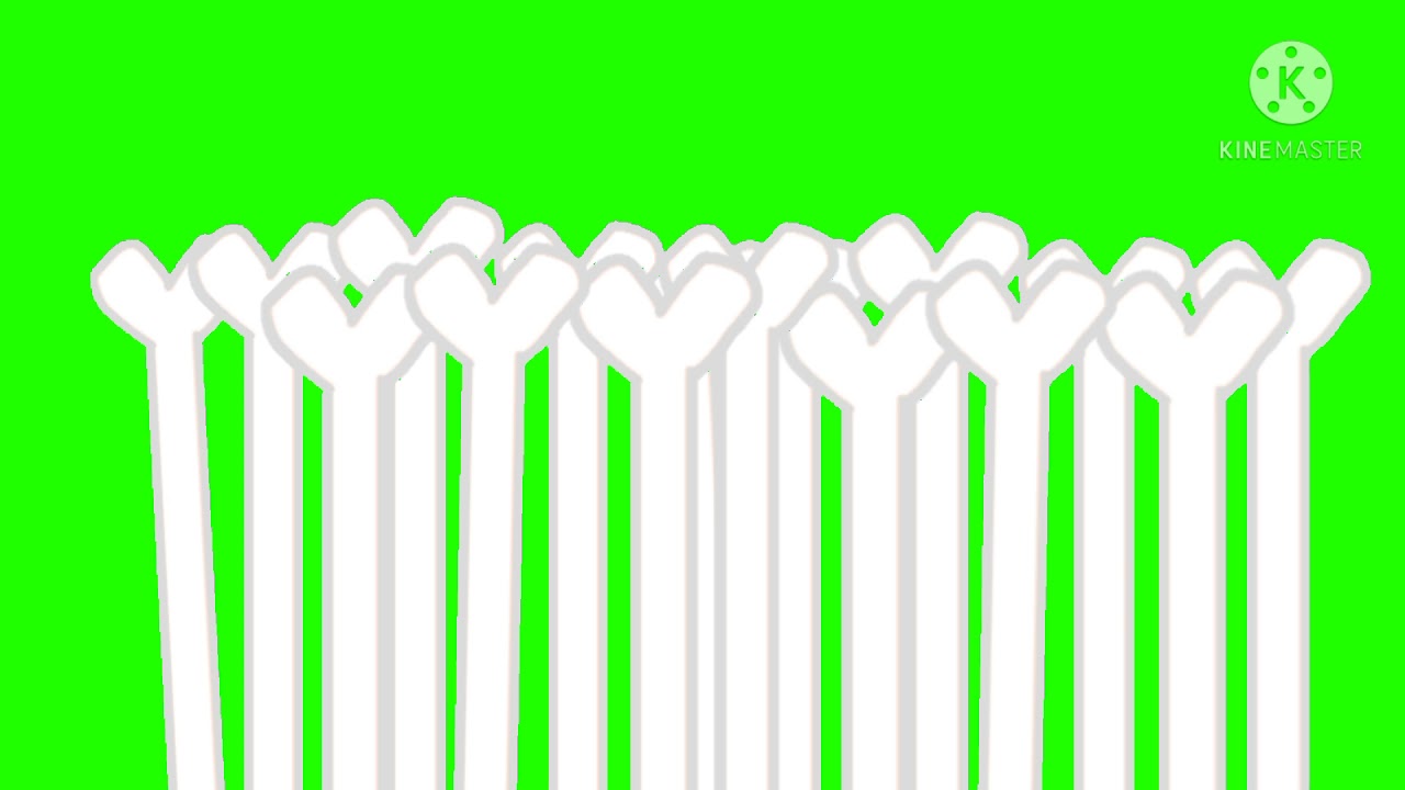 Bonezone green screen