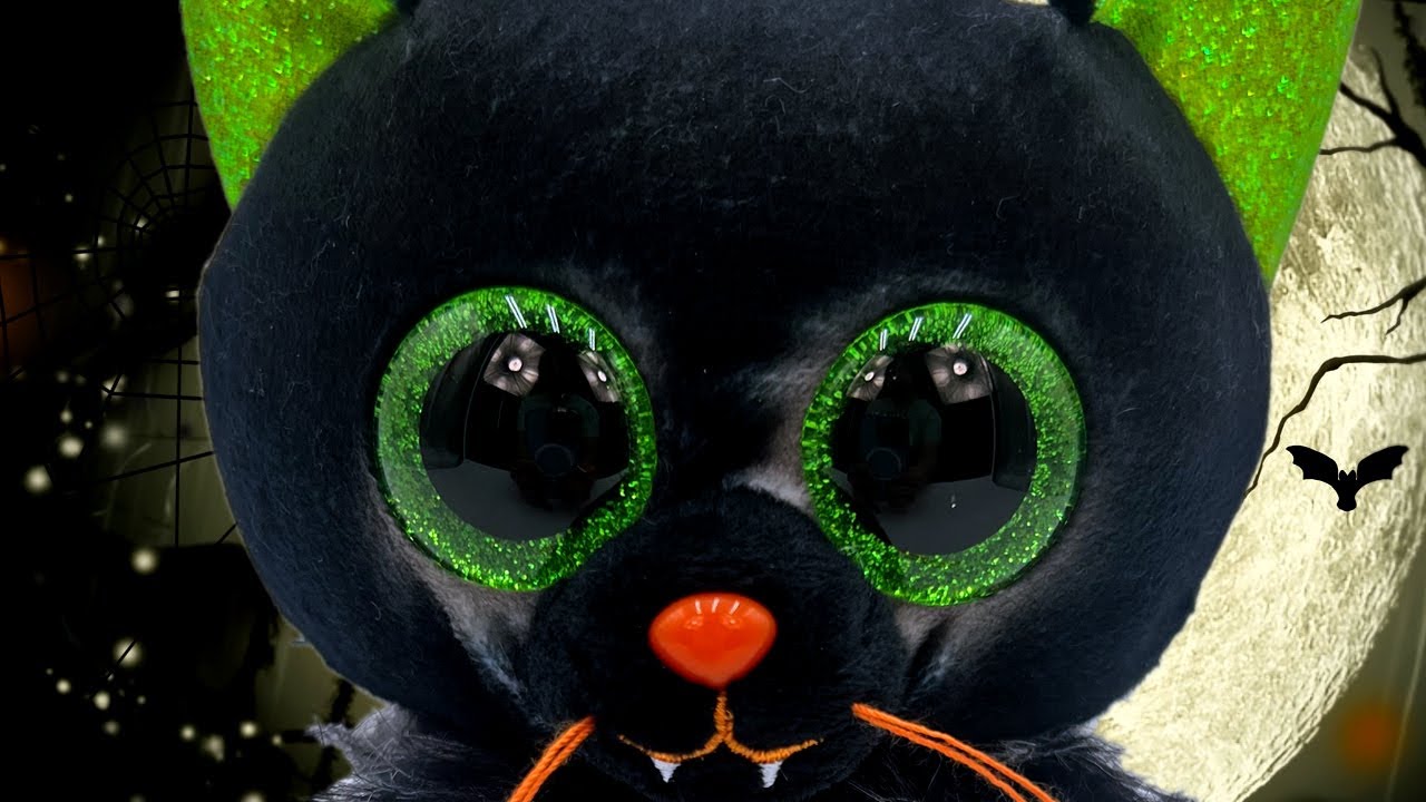 BOO!!! My All Time Favorite Halloween Beanie Boo!