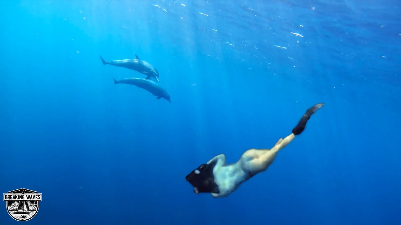 BOOBIES And BLUE WATER SPEARFISHING