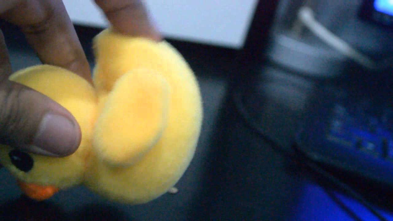 Booty Shaking Ducks -[[A 2014 Epic Competition]]